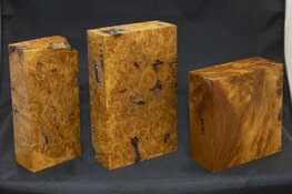 4R6A2190.jpg 4R6A2190.jpg