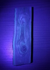 20250414_204630.jpg 20250414_204630.jpg