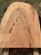 IMG_9758.jpeg IMG_9758.jpeg