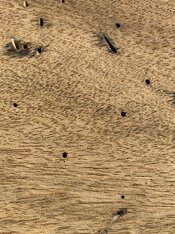 IMG_9761.jpeg IMG_9761.jpeg