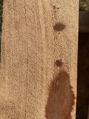 IMG_9759.jpeg IMG_9759.jpeg