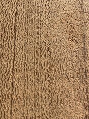 IMG_9763.jpeg IMG_9763.jpeg