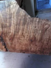 burl5 (1).webp