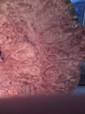 burl5 (2).webp