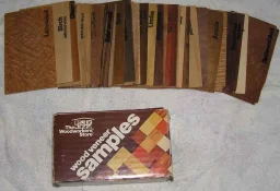 Veneer3a.webp