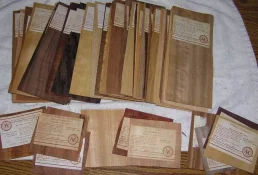 Veneer4b.webp