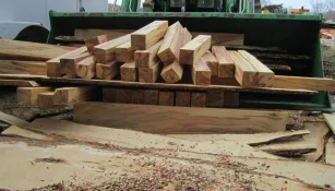 PeppermillBlanks2.webp