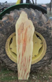 Spalted Flitch7a.webp