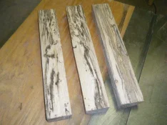 oak1.webp