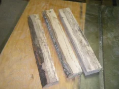 oak3.webp