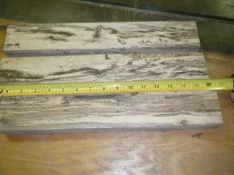 oak5.webp