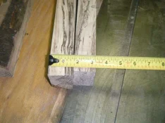 oak6.webp