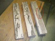 oak1.webp