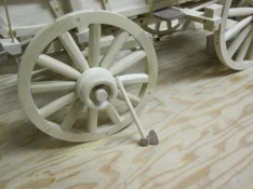 IMG_2962.webp