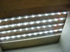 DSCF4029_W.webp