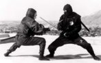 Ninja-Katana-580x362.jpg