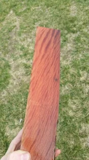 20160812_144153.webp