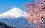 mt fuji.jpg