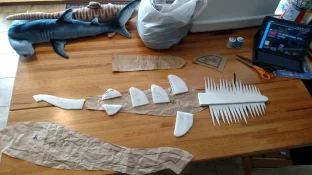 IMG_20170110_132917398.webp