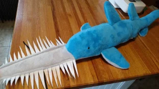 IMG_20170112_132827579.webp
