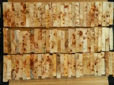 DSCN8897.webp