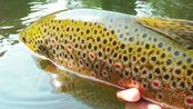 IMG_20160322_171232.jpg