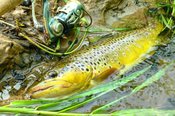 IMG_20160501_104816.jpg