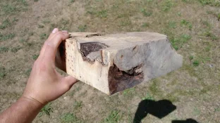 20170729_143510.webp