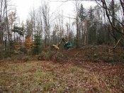 2014-10-21 16.17.31-7.jpg