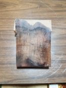 Mangrove Burl A.jpg