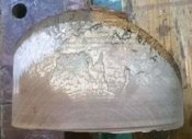 birch.jpg