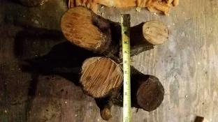 20181128_212558.webp