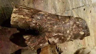 20181128_212531.webp