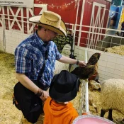 Rodeo 19 shicken whisperer.webp