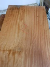 20190915_161347.webp