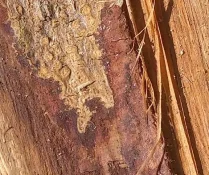 KIMG1489.webp