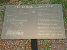 DSC05226.jpg