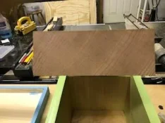 sitka spruce 3.webp