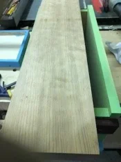 sitka spruce 4.webp