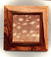 5355C525-2F7C-420D-A8DF-664D3627CC96.webp