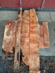 IMG_20191209_134503690.webp