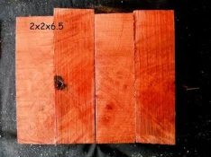 DSCF2804.webp