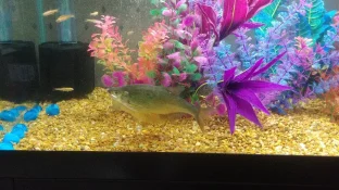 0507201803a_HDR.webp
