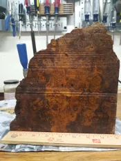 Almond Burl Misted 1.webp