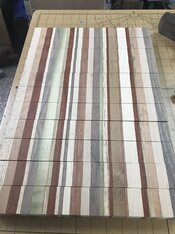 031 - 1st panel crosscut showing facegrain.JPG