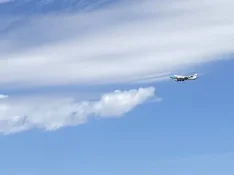 A232F9AD-992C-427D-A0E1-CDFA62D7CF61.webp