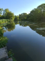 20200813_082356.jpg
