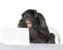 image-3223159102.webp