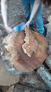 received_690983781802838.jpeg