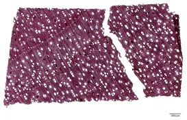 mahagoni.webp